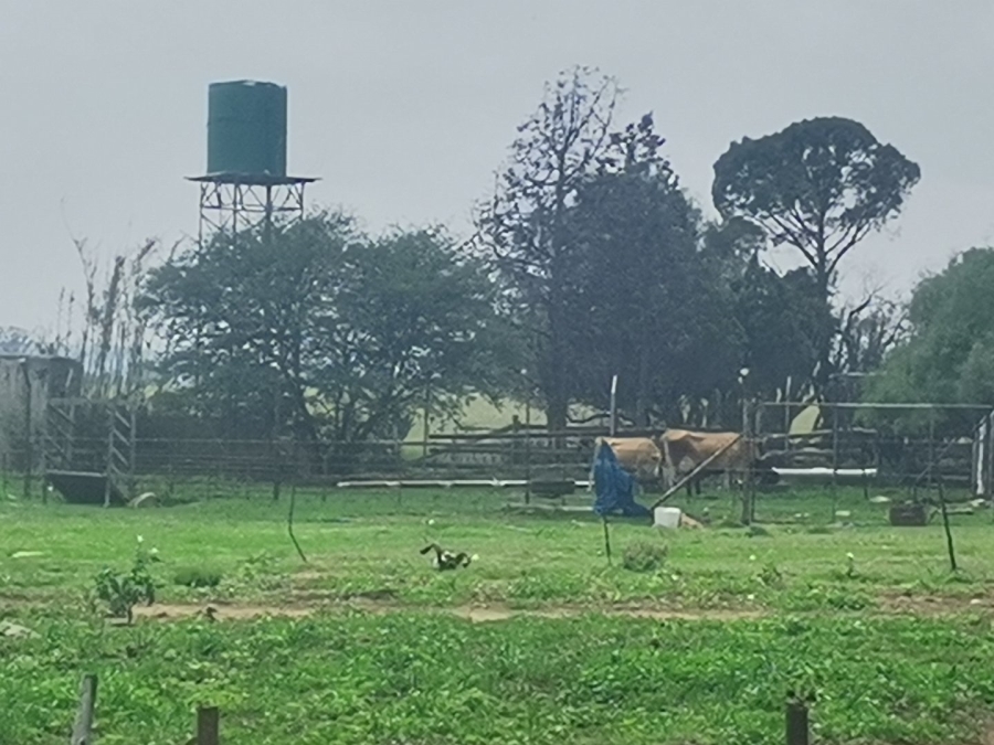 Commercial Property for Sale in Senekal Rural Free State